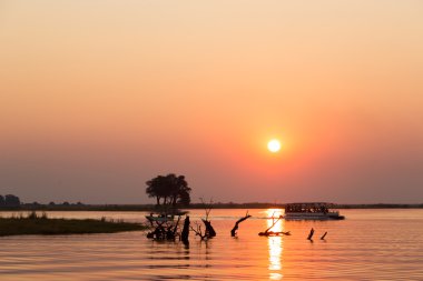 Beautiful sunset in Chobe River clipart
