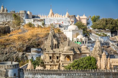 Palitana Batı Hindistan'da karmaşık tapınakta