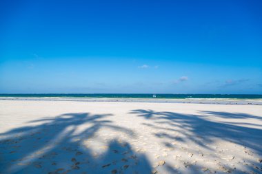 Diani Plajı'nın güzel manzarası