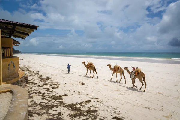 Hörgüçlü güneşli gün