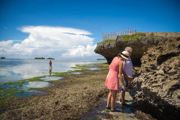 Güzel plaj keyfi turistler