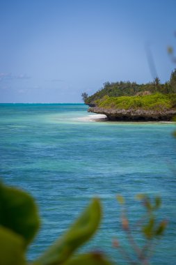 Zanzibar'da güzel plaj