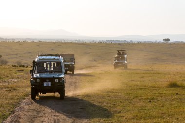 Safari arabalarında büyük turist grubu