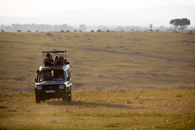 Serengeti Park'ta oyun sürüşü keyfi turistler