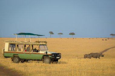 Serengeti Park'ta oyun sürüşü keyfi turistler