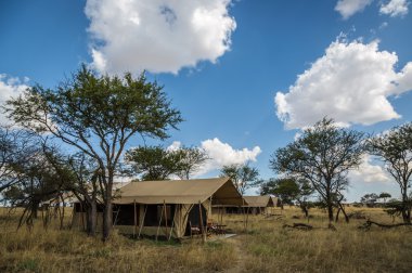 Savananın her yerinde mobil çadırlar