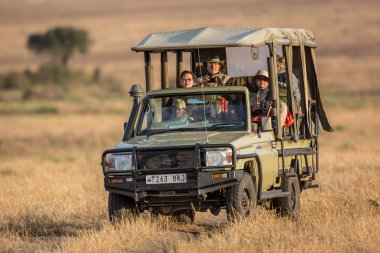 Oyun sürüşü keyfi turistler 