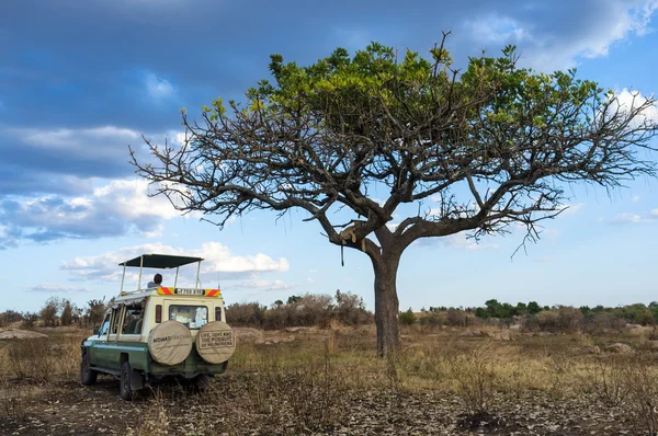 Safari car in Serengeti National Park