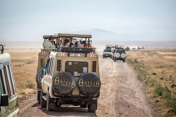 Stor grupp av turister i Safari bilar — Stockfoto