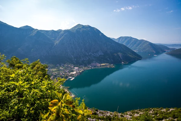 Kotor, Karadağ'defne