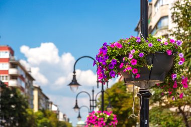 Sofya şehir'in mimaride ayrıntılarını