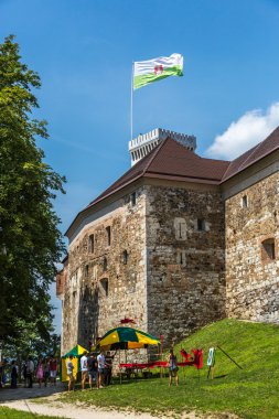 Mavi gökyüzü gününde Ljubljana Kalesi