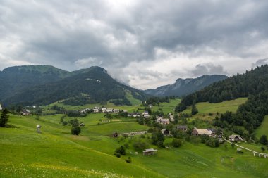 dağ ve orman Slovenya ile kırsal