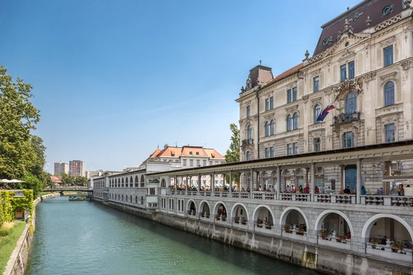 Şehir Ljubljana yaz günü — Stok fotoğraf