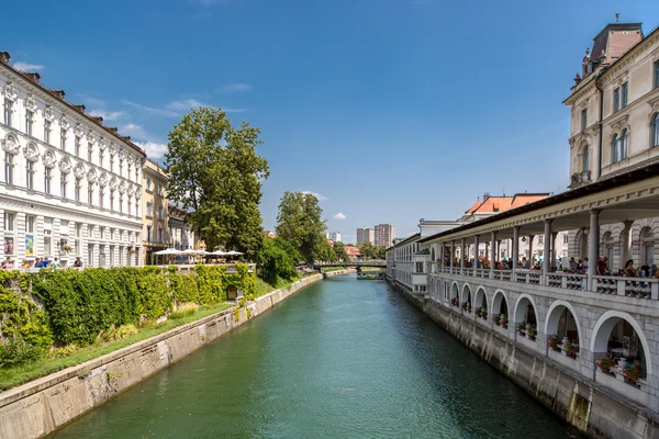 Zomerdag in het centrum van Ljubljana — Stockfoto