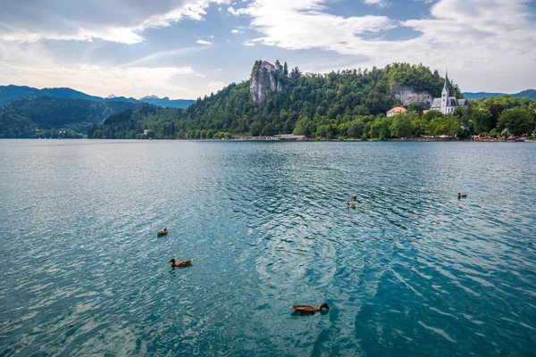 Paisagem natureza no lago de Bled — Fotografia de Stock