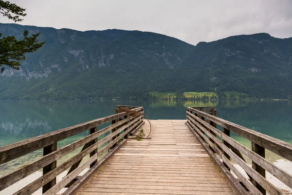 Naturlandschaft im See des Ausblutens — Stockfoto