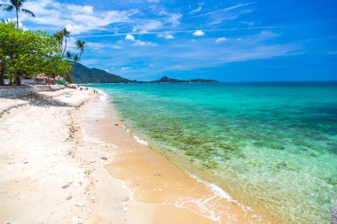 Şaşırtıcı beach Koh Samui