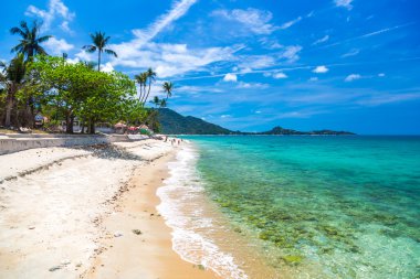 Şaşırtıcı beach Koh Samui