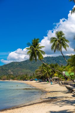 Şaşırtıcı beach Koh Samui