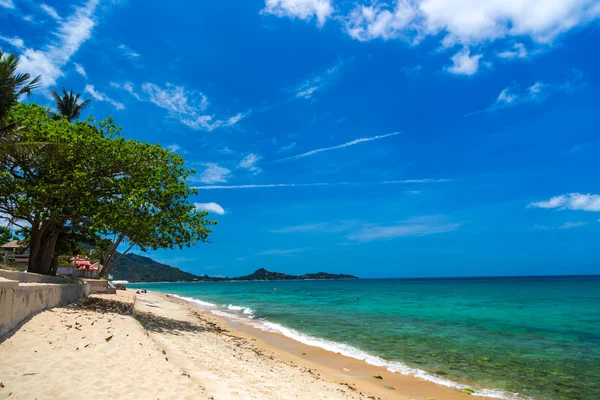 Increíble playa en Koh Samui —  Fotos de Stock