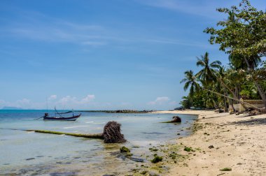 Geleneksel tekne demirlemiş mavi su