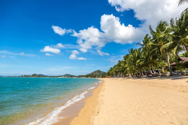 Playa del desierto en Koh Samui —  Fotos de Stock