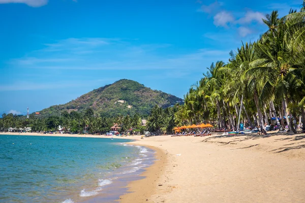 Playa del desierto en Koh Samui —  Fotos de Stock