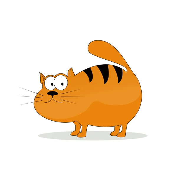 şişman kedi çizgi film