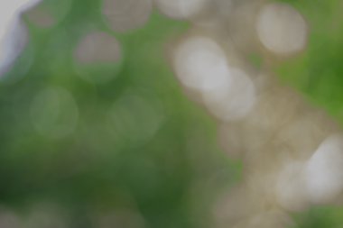 Yeşil soyut ile Böke