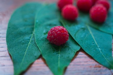 Makro ahududu yaprak üzerinde