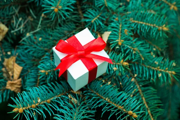 Kürk ağaç üzerinde kırmızı şerit yay ile beyaz hediye kutusu