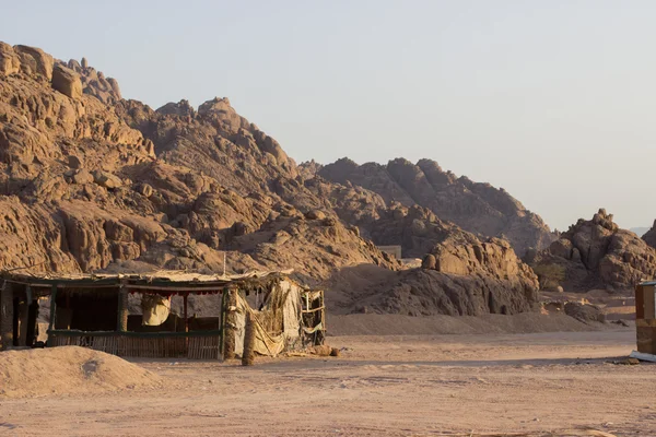 Eski Sina çöl Bedevileri evde görüntüleyin