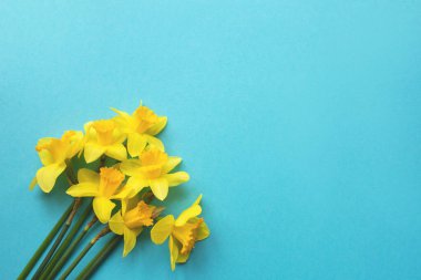 Mavi arkaplandaki nergis buketi metin için kopyalama alanı.