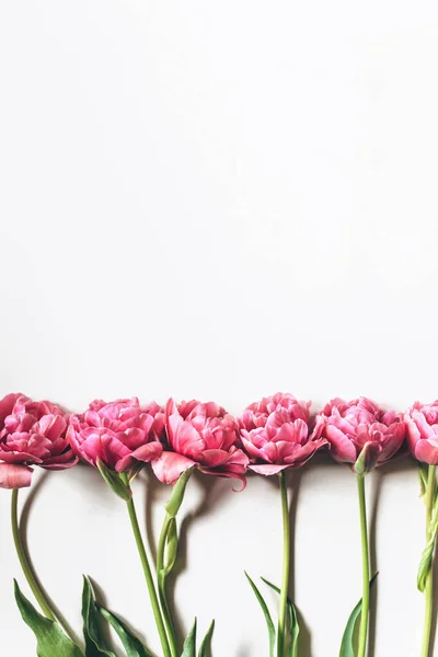 Ramo de tulipanes rosados sobre un fondo blanco. Hermoso fondo de celebración. Copiar espacio, plano laico — Foto de Stock