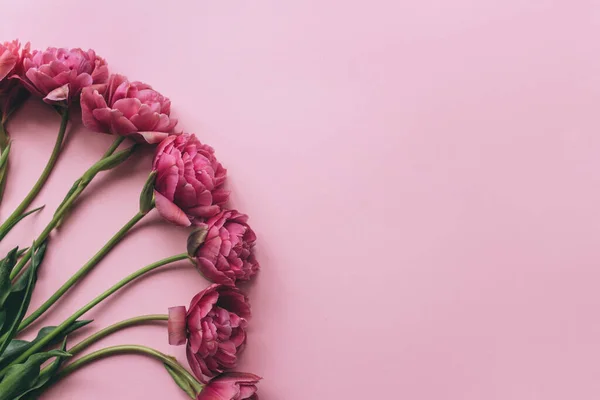 Ramo de tulipanes rosados sobre fondo rosa. Hermoso fondo de celebración. — Foto de Stock