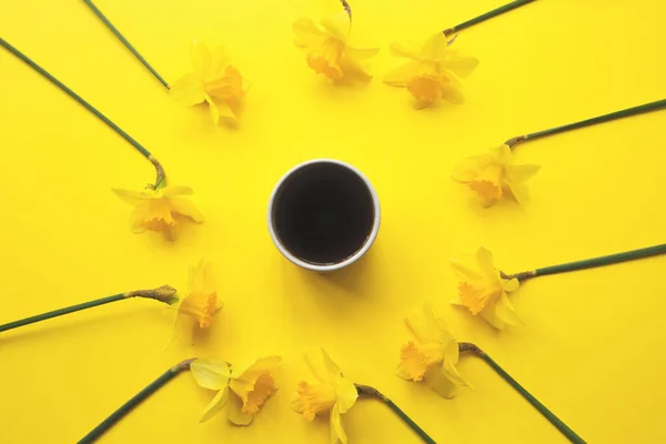 Banyak daffodil kuning dan secangkir kopi atau teh dengan latar belakang kuning. — Stok Foto