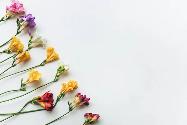 Ramo de tulipanes rosados y coloridas freesias sobre un fondo blanco — Foto de Stock