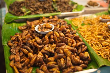 Asya piyasada kızarmış larva