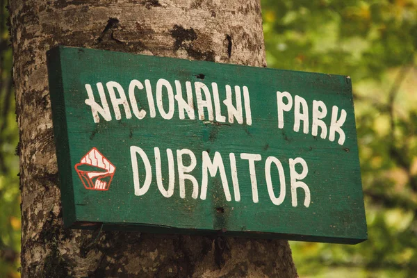 Durmitor National Park. Montenegro. Information on the tree.