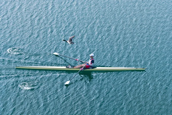 Bateau à rames à goélette unique avec canard colvert au-dessus — Photo