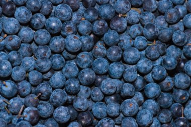 Olgun Huckleberries arka plan