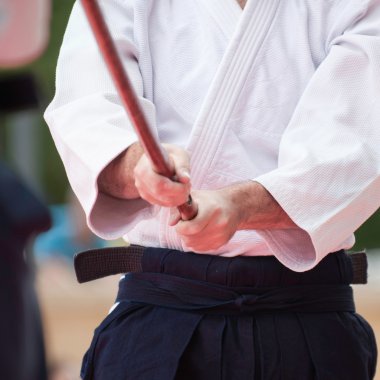 Aikido savaşçı duruş