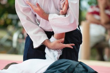 Aikido master and opponent  clipart