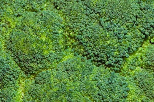 Verde brocolli fundo — Fotografia de Stock