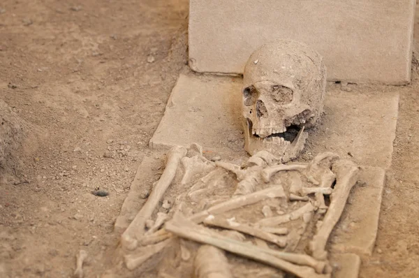 Oude skeleton op archeologische site — Stockfoto