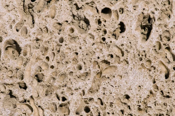 Contexto de rocha sedimentar — Fotografia de Stock