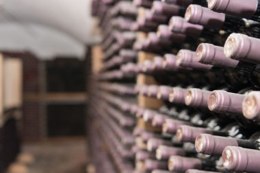 Bottles shelved in large wine cellar clipart