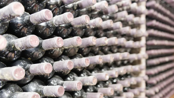 Şarap şişeleri toz kaplı raflar — Stok fotoğraf