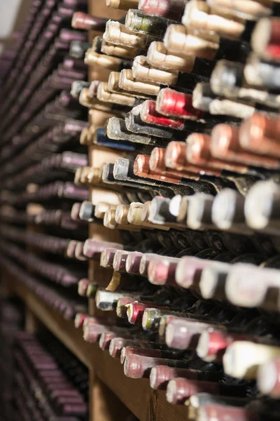 Racks de garrafas de vinho cobertas de poeira — Fotografia de Stock